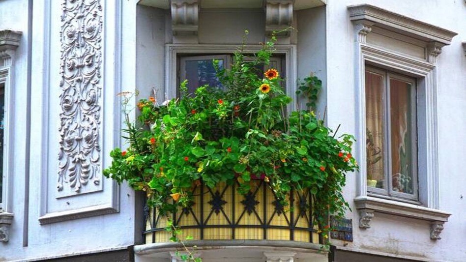 India slips to 54th rank in the global home price index India slips to 54th rank in the global home price index