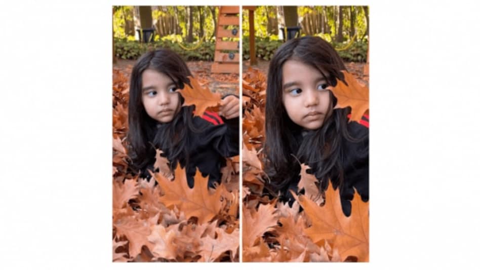 (Picture: Google) (Picture: Google)