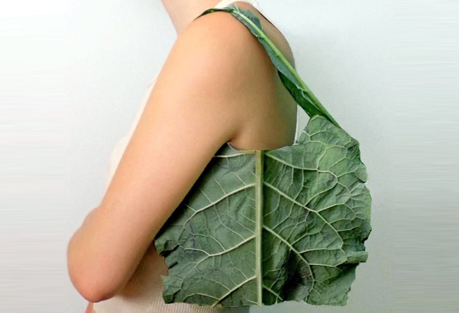 'Don't walk on road where there's cow': This leaf bag is bit too eco-friendly, but worth praising! Gab Bois' leaf bag (Photo- @gabbois Instagram)