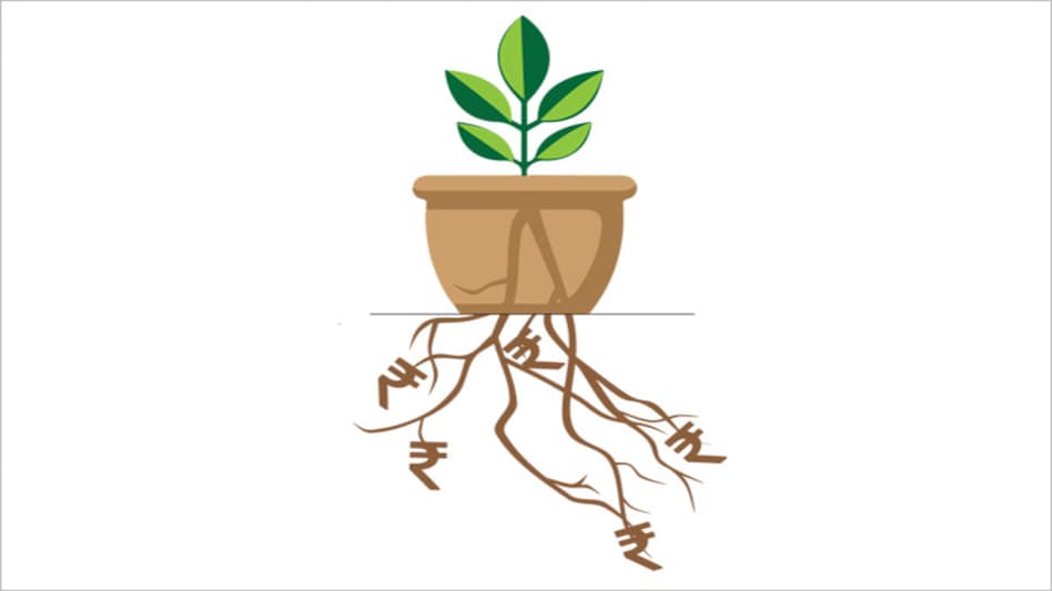 Illustration by Raj Verma Illustration by Raj Verma