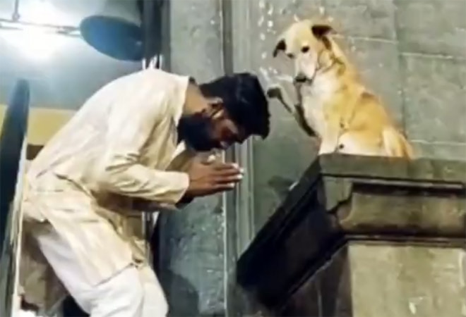 Anand Mahindra shares adorable video of stray dog blessing people outside temple A dog can be seen blessing devotees outside a temple in the video (Image- Screengrab from Twitter)