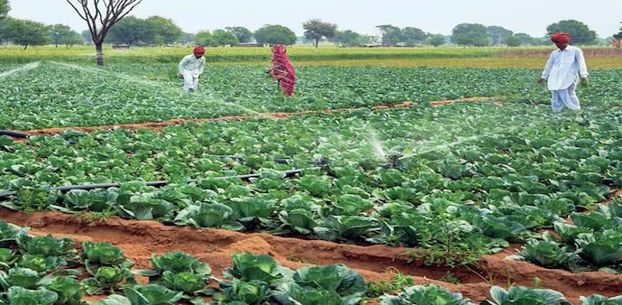 Agriculture's share of gross capital formation (GCF) fell from 8.5% of the total GCF of economy in FY12 to 6.5% in FY19 Agriculture's share of gross capital formation (GCF) fell from 8.5% of the total GCF of economy in FY12 to 6.5% in FY19