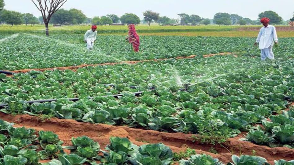 Rebooting Economy 56: Why India should follow agricultural development-led  industrialisation growth model - BusinessToday