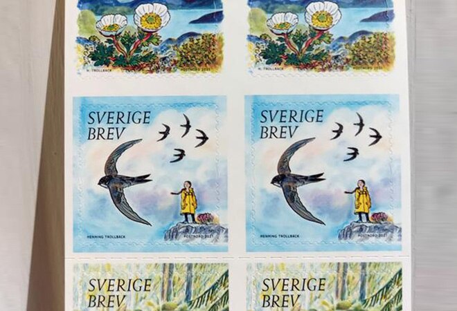 Thunberg has been pictured on her yellow raincoat standing on a rocky coastal looking out at a flock of birds, designed by illustrator Henning Trollback titled "Valuable Nature" Thunberg has been pictured on her yellow raincoat standing on a rocky coastal looking out at a flock of birds, designed by illustrator Henning Trollback titled "Valuable Nature"