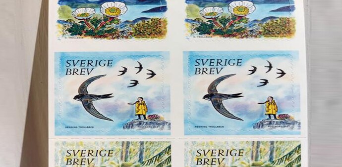 Thunberg has been pictured on her yellow raincoat standing on a rocky coastal looking out at a flock of birds, designed by illustrator Henning Trollback titled "Valuable Nature" Thunberg has been pictured on her yellow raincoat standing on a rocky coastal looking out at a flock of birds, designed by illustrator Henning Trollback titled "Valuable Nature"