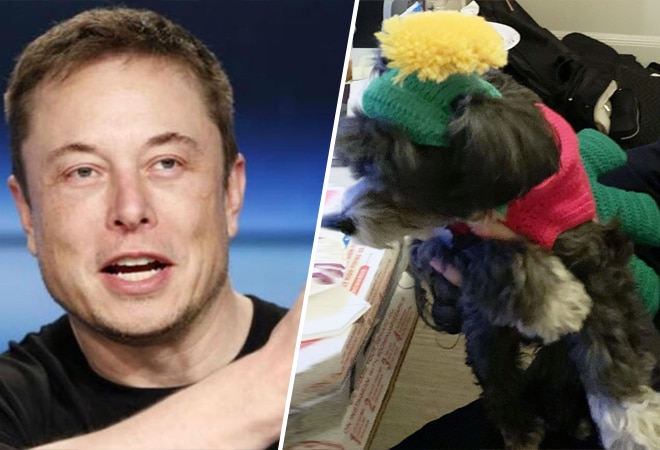 Tesla CEO Elon Musk's tweet sent Etsy's shares skyrocketing on Tuesday, January 26 Tesla CEO Elon Musk's tweet sent Etsy's shares skyrocketing on Tuesday, January 26