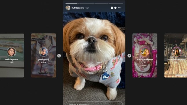 Instagram Stories on web gets a new layout