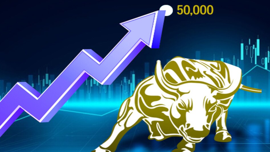 Foreign institutional investors have pumped in Rs 20,236 crore in equities in January so far Foreign institutional investors have pumped in Rs 20,236 crore in equities in January so far
