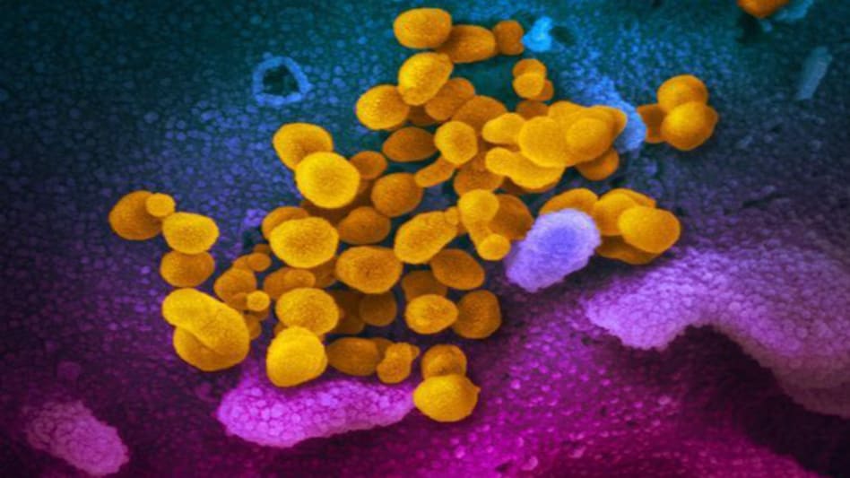 Representational Image (Photo-Reuters) Representational Image (Photo-Reuters)