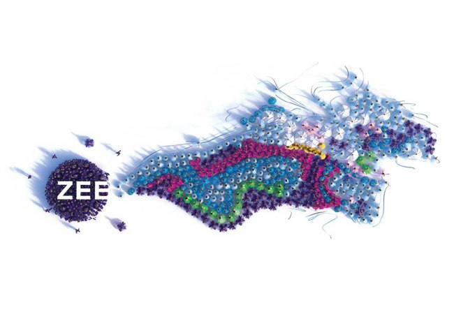 I-T raids Zee offices; co says deptt 'queries' being provided