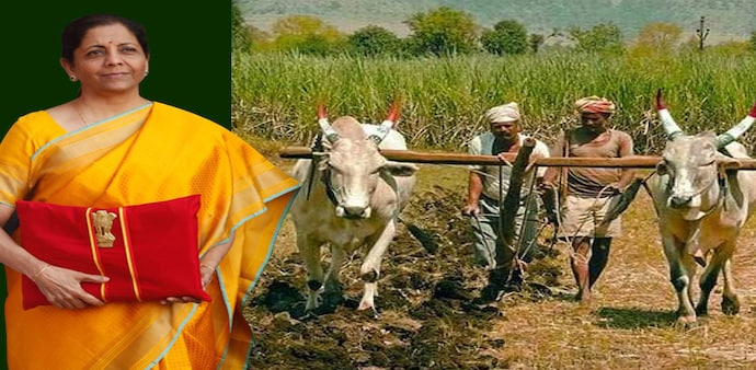Budget 2021: According to the rating agency ICRA, the government could allocate funds towards the agricultural chain to improve productivity and reduce post-harvest losses Budget 2021: According to the rating agency ICRA, the government could allocate funds towards the agricultural chain to improve productivity and reduce post-harvest losses