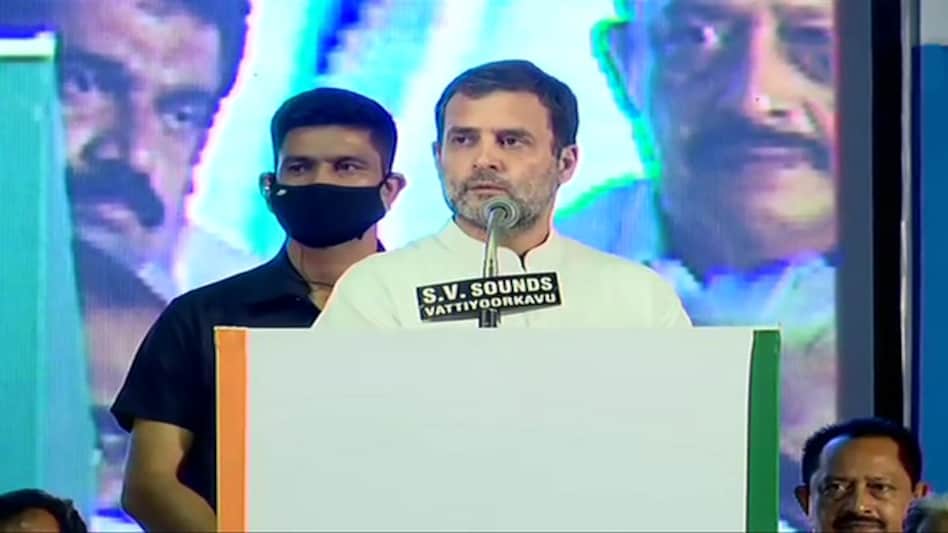 Congress MP Rahul Gandhi Congress MP Rahul Gandhi