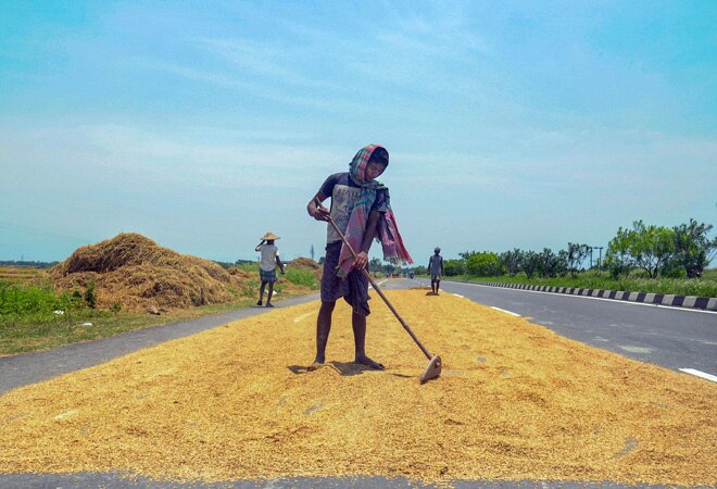 PM-KISAN sops reached 20 lakh undeserving beneficiaries: report