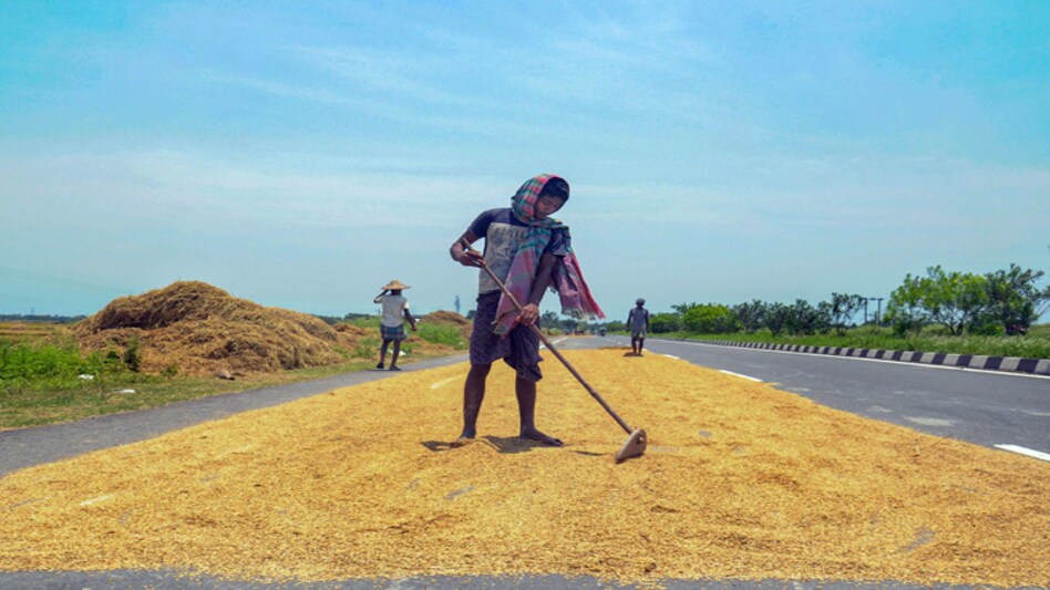 PM-KISAN sops reached 20 lakh undeserving beneficiaries: report PM-KISAN sops reached 20 lakh undeserving beneficiaries: report