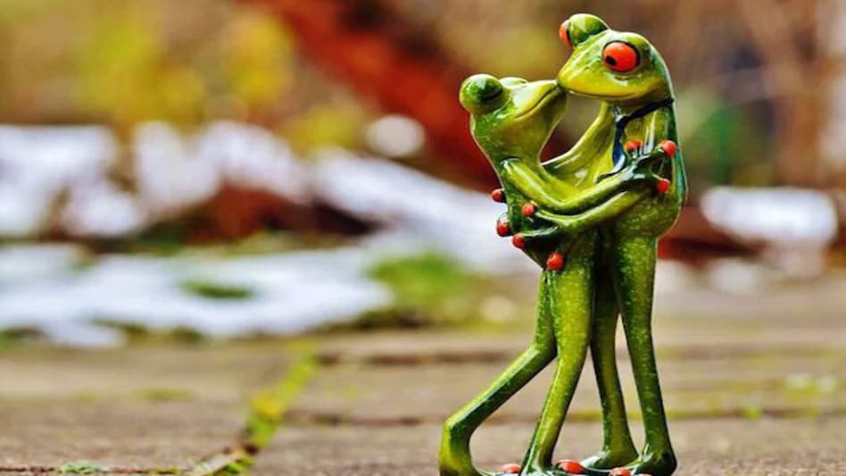 February 13 is celebrated all over the world as Kiss Day February 13 is celebrated all over the world as Kiss Day