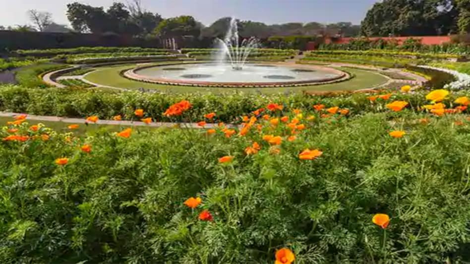 Mughal Gardens open for public from today; check out booking, timings, other details Mughal Gardens open for public from today; check out booking, timings, other details
