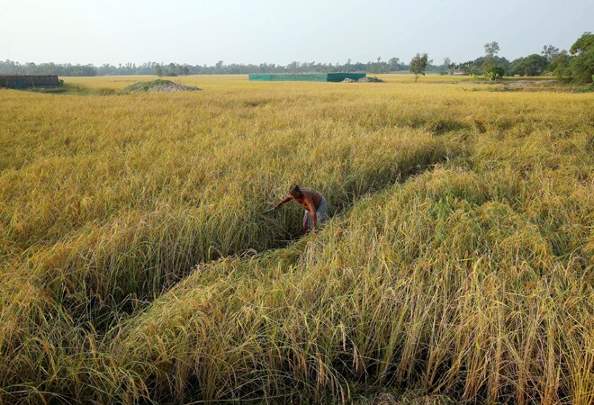 Ineligible PM-KISAN beneficiaries received Rs 2,327 crore: Agri Minister