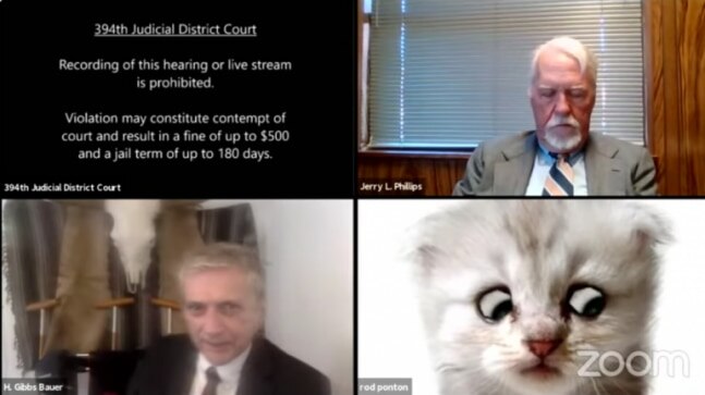 US lawyer turns up for court proceedings on Zoom with cat filter on, judge calls it profession's dedication