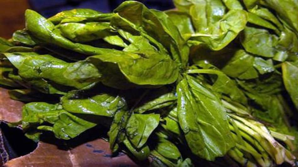 Spinach roots can detect the presence of a specific explosive material in the groundwater Spinach roots can detect the presence of a specific explosive material in the groundwater