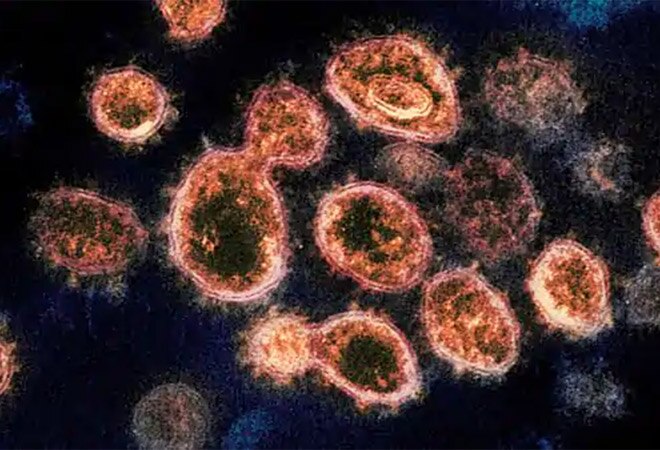 Health Ministry confirms two new COVID-19 strains; says variants not behind spike in Maharashtra, Kerala