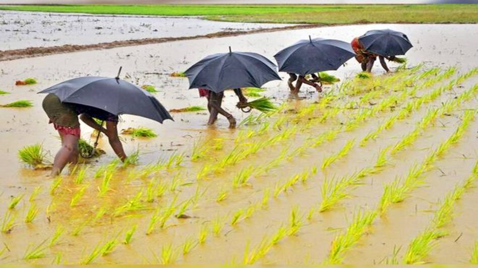 Khattar said Farmer Producer Organisations' support should be sought to ensure farmers do not face any inconvenience Khattar said Farmer Producer Organisations' support should be sought to ensure farmers do not face any inconvenience