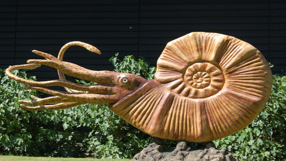 Representative Image Representative Image