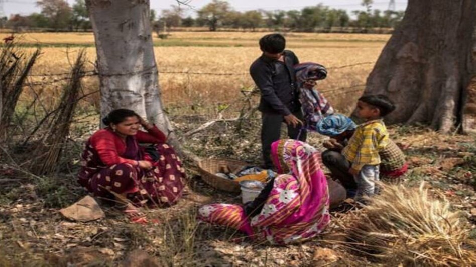 The central government has allocated Rs 73,000 crore for NREGA for 2021-22 The central government has allocated Rs 73,000 crore for NREGA for 2021-22