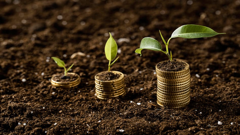 Ask Money Today: How much wealth can I create with SIP of Rs 5,000 per month? Ask Money Today: How much wealth can I create with SIP of Rs 5,000 per month?