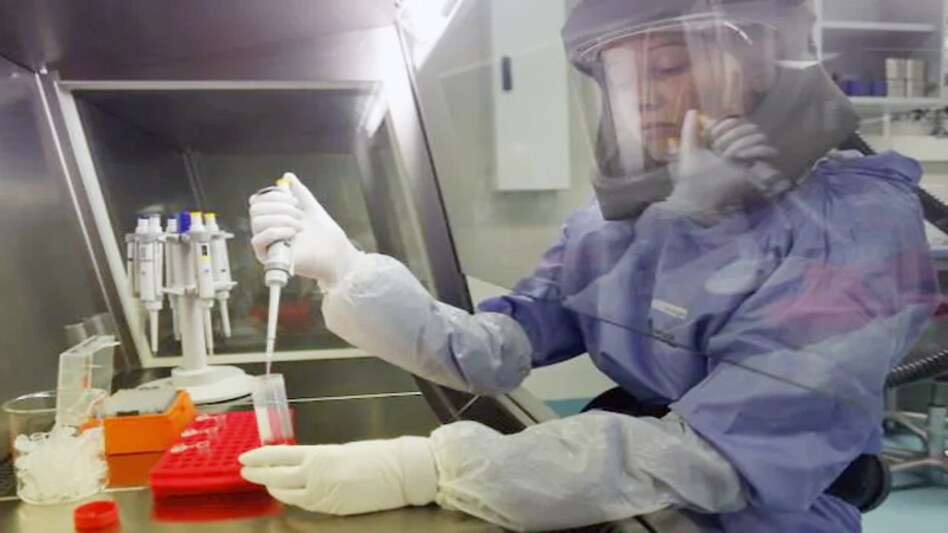 The report says that the COVID-19 pandemic has offered the "perfect conditions for widespread outbreaks" of C. auris The report says that the COVID-19 pandemic has offered the "perfect conditions for widespread outbreaks" of C. auris