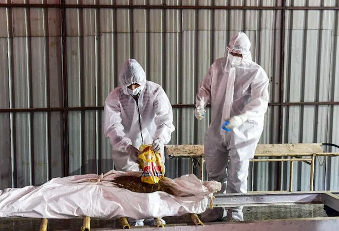 The overall Case Fatality Ratio (CFR) since the outset of the coronavirus pandemic in March 2020 has been reported to be around 1.3% The overall Case Fatality Ratio (CFR) since the outset of the coronavirus pandemic in March 2020 has been reported to be around 1.3%