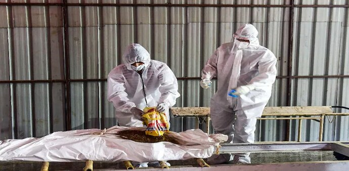 The overall Case Fatality Ratio (CFR) since the outset of the coronavirus pandemic in March 2020 has been reported to be around 1.3% The overall Case Fatality Ratio (CFR) since the outset of the coronavirus pandemic in March 2020 has been reported to be around 1.3%