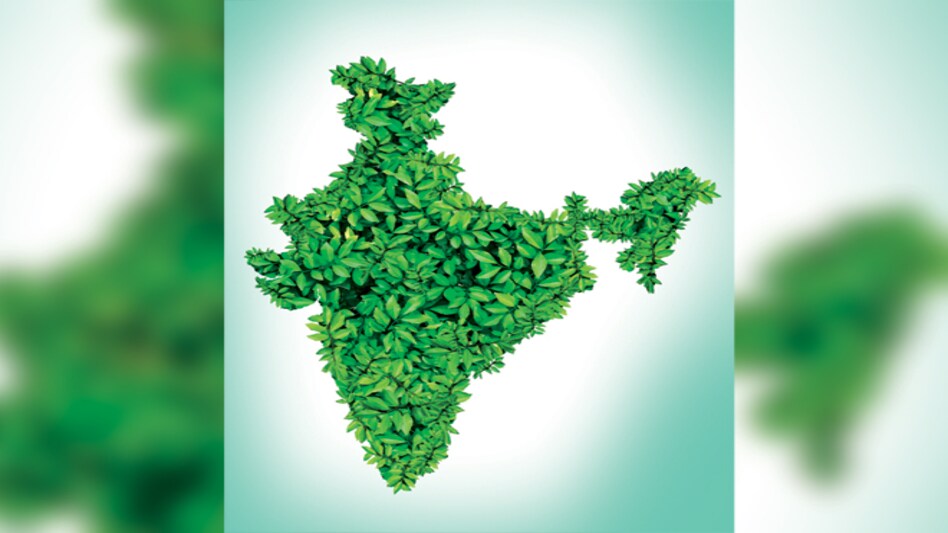 Illustration by Nilanjan Das Illustration by Nilanjan Das