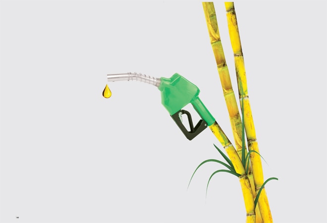 Illustration by Raj Verma Illustration by Raj Verma