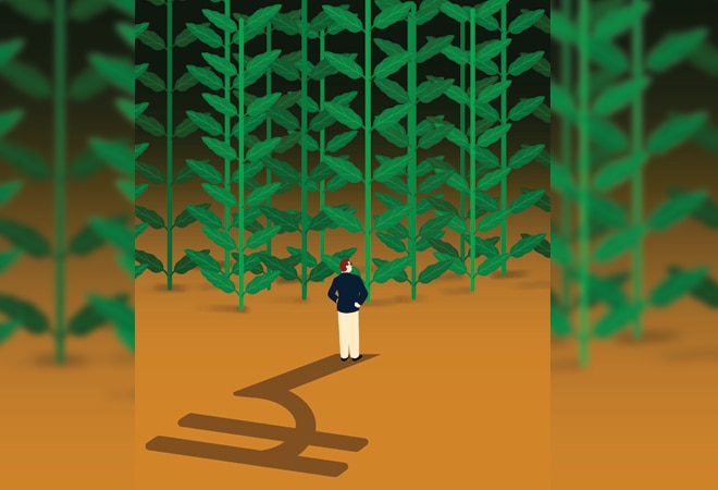 Illustration by Siddhant Jumde Illustration by Siddhant Jumde