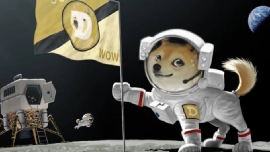 The crypto market has largely been on an upward trajectory for the past 12 months. The crypto market has largely been on an upward trajectory for the past 12 months.