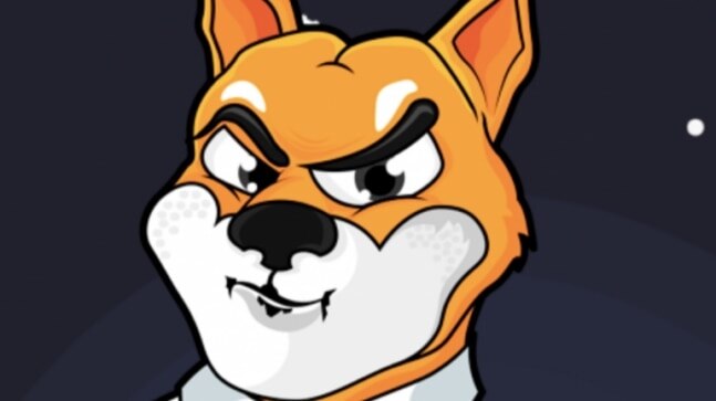 WazirX to compensate investors who bought Shiba Inu coin at high price