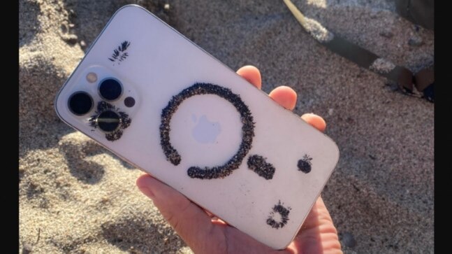 Man drops iPhone 12 in sand, finds metal particles attached to its MagSafe outline