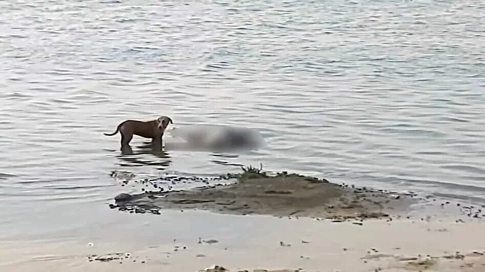 The district magistrate informed that teh bodies will be fished out of teh river and cremated with full rites. (Photo: India Today) The district magistrate informed that teh bodies will be fished out of teh river and cremated with full rites. (Photo: India Today)