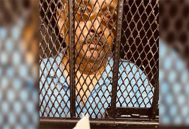 Rodney's statement came after pictures of Mehul Choksi in police custody with injury marks on his body had surfaced Rodney's statement came after pictures of Mehul Choksi in police custody with injury marks on his body had surfaced