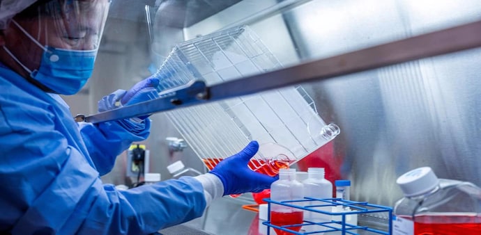 The company co-developed the two-shot COVID-19 vaccine, called BNT162b2, along with its German partner BioNTech The company co-developed the two-shot COVID-19 vaccine, called BNT162b2, along with its German partner BioNTech