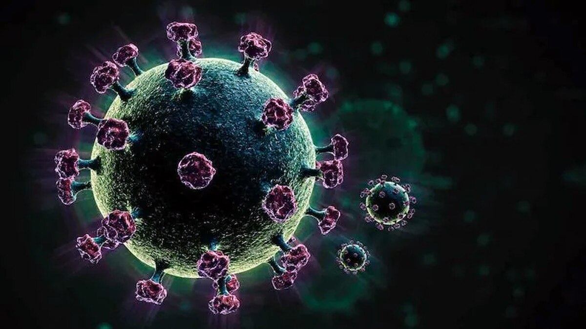 During the COVID-19 pandemic, companies used Nanome's platform to assess candidate molecules' ability to bind viral proteins in 3D During the COVID-19 pandemic, companies used Nanome's platform to assess candidate molecules' ability to bind viral proteins in 3D