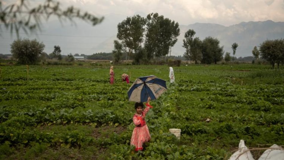 SKM alleged that the government has been breaking the principles and rules of democracy to destroy the farmers’ agitation. SKM alleged that the government has been breaking the principles and rules of democracy to destroy the farmers’ agitation.