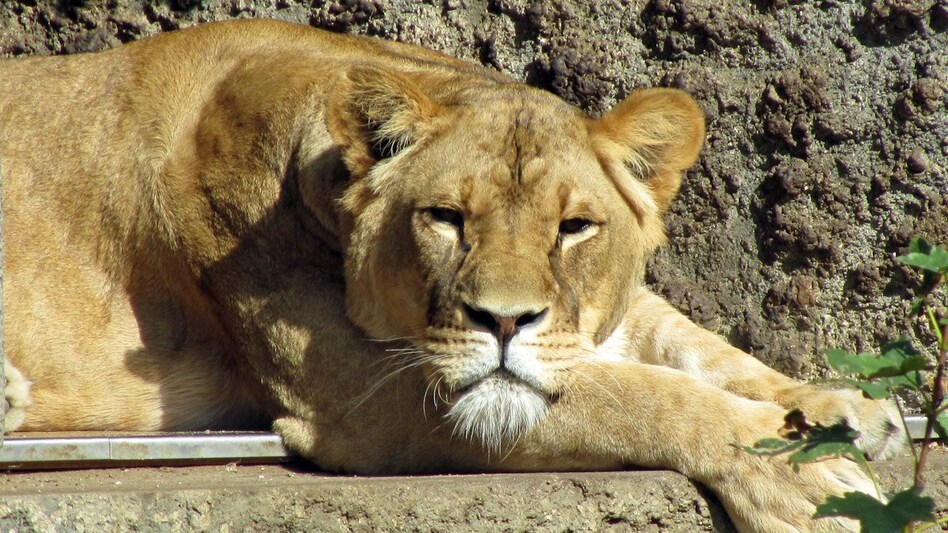 Representative Image Representative Image