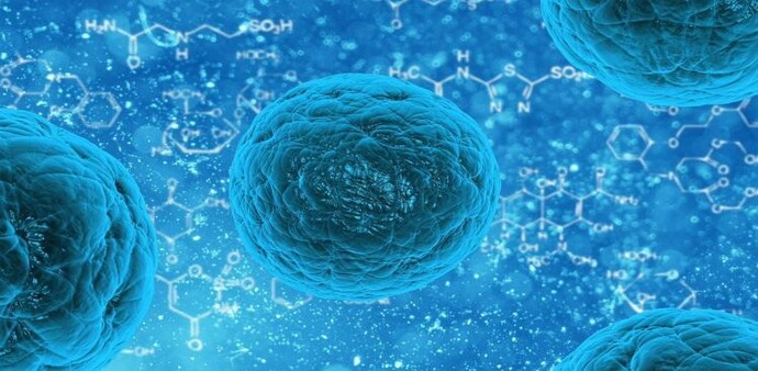Monkeypox belongs to the same family of viruses as smallpox Monkeypox belongs to the same family of viruses as smallpox