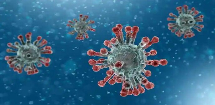 The Delta variant of the coronavirus was first uncovered in Maharashtra late last year The Delta variant of the coronavirus was first uncovered in Maharashtra late last year