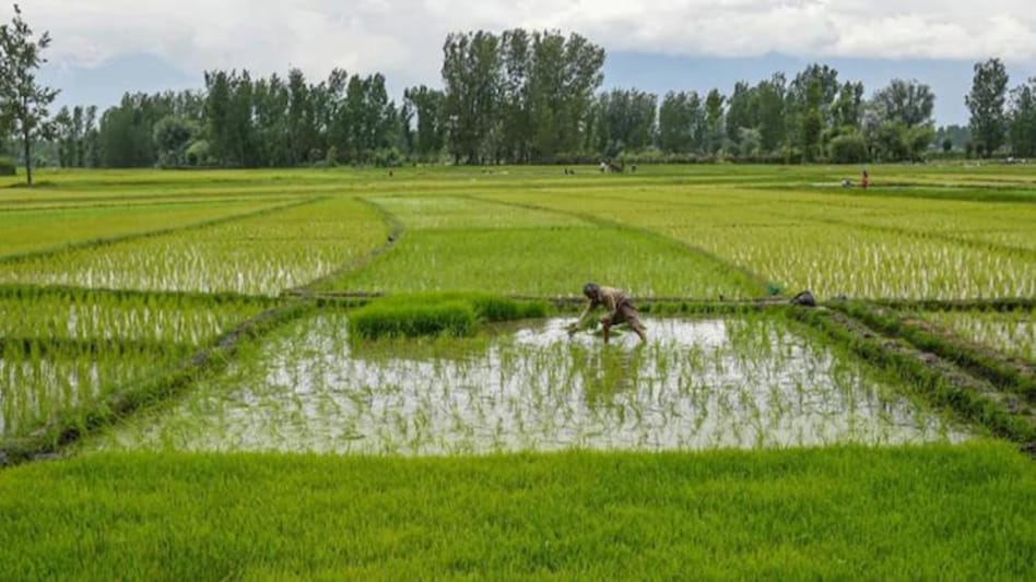 The prospects for the promotion of sustainable agriculture practices are now becoming favourable in India The prospects for the promotion of sustainable agriculture practices are now becoming favourable in India