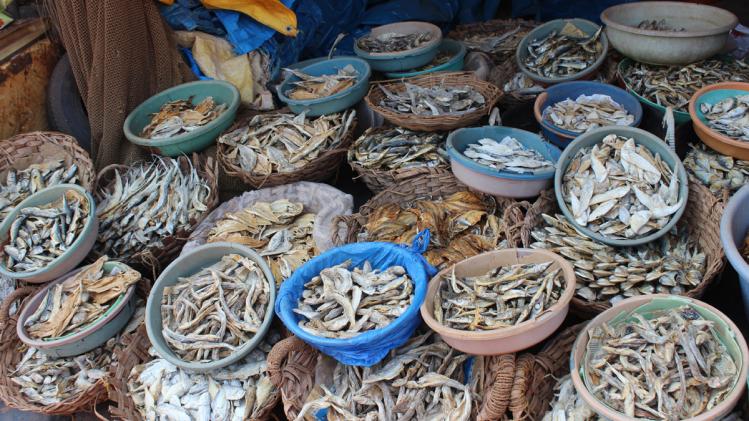 Photograph by Vivek Dubey