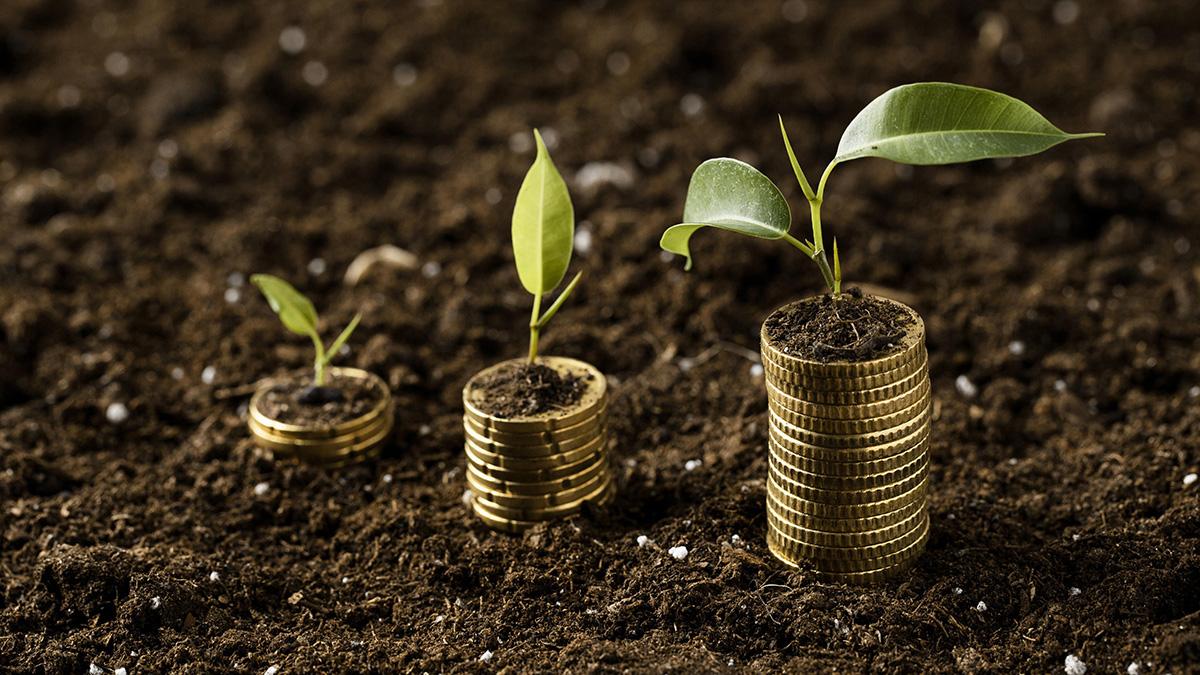 Green Bonds: Tackling climate change the financial way Green Bonds: Tackling climate change the financial way