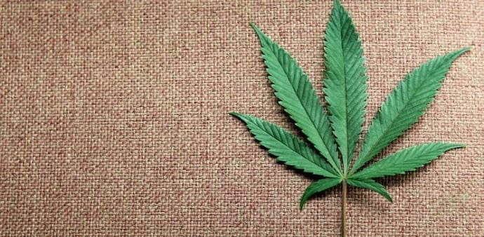 HempStreet has a nation-wide network access of over 60,000 medical practitioners clinics across India HempStreet has a nation-wide network access of over 60,000 medical practitioners clinics across India