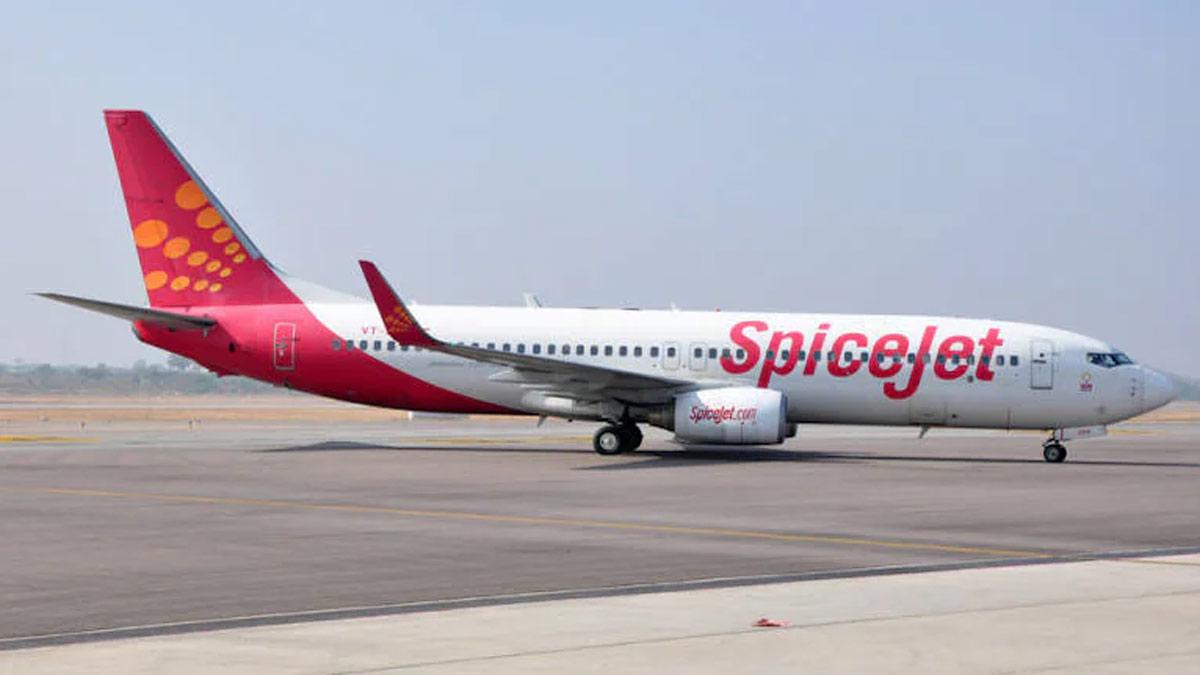 Bird Worldwide Flight Services borrowed Rs 8.52 crore under ECLGS 3.0 (Source: PTI) Bird Worldwide Flight Services borrowed Rs 8.52 crore under ECLGS 3.0 (Source: PTI)
